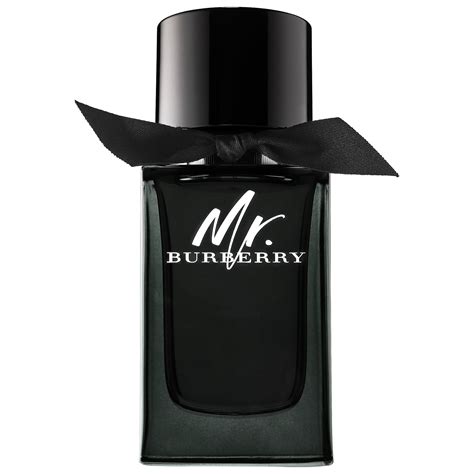 mr burberry eau de parfum 150 ml|burberry perfume for men's price.